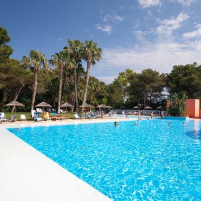 Piscina con pineta Hotel Solara