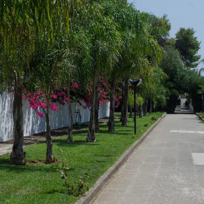 Viale Alberato Hotel Solara a Otranto